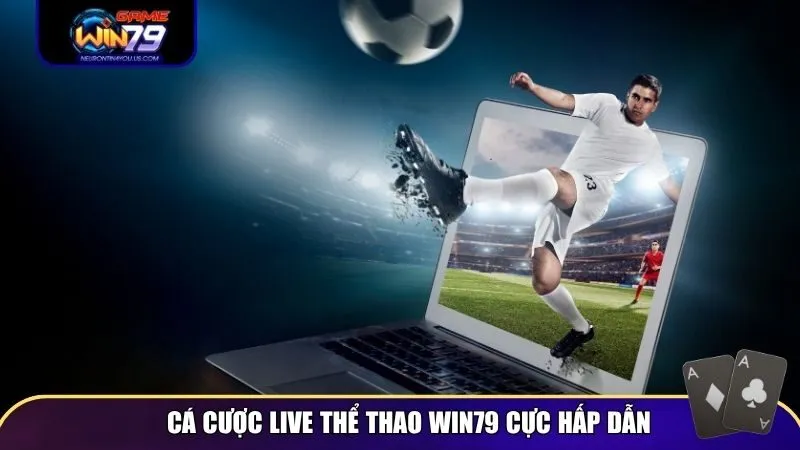 Cá cược live thể thao Win79 cực hấp dẫn